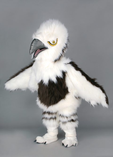 Eagle