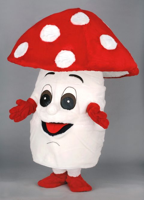 Fly agaric
