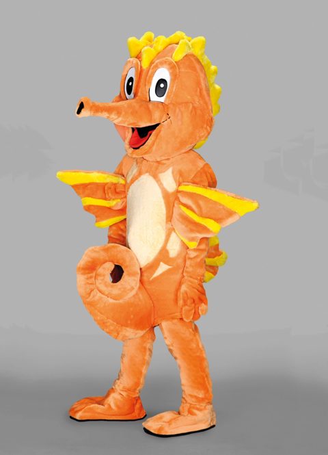 Seahorse