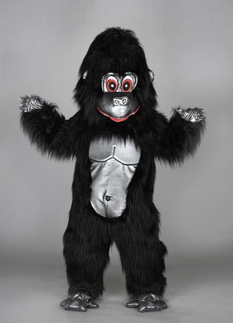 Gorilla