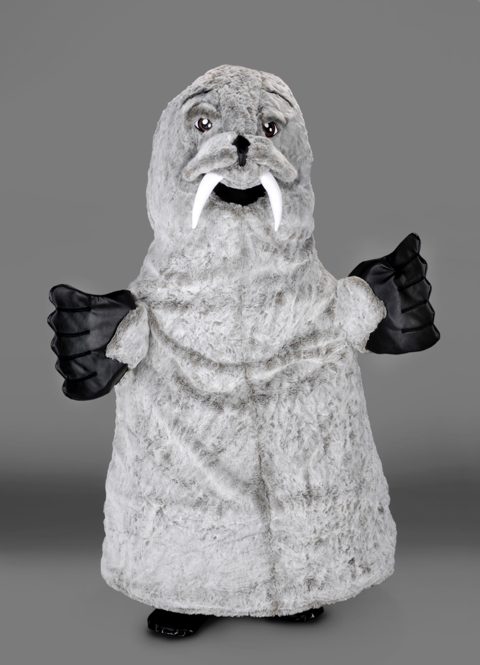 Walrus
