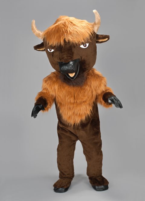 Bison