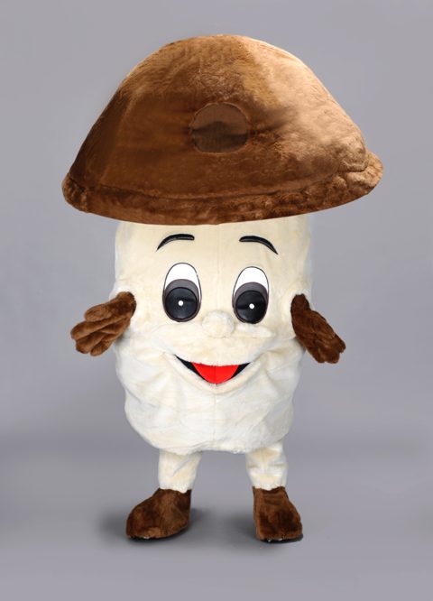 Porcini mushroom