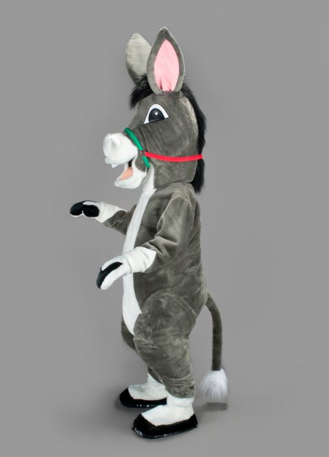 Donkey