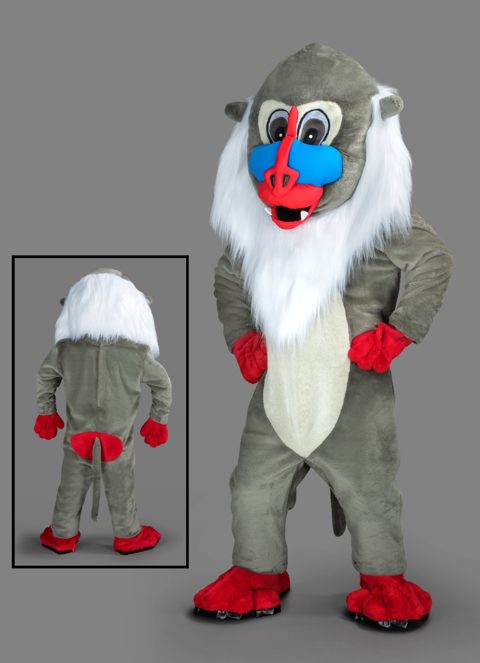 Baboon