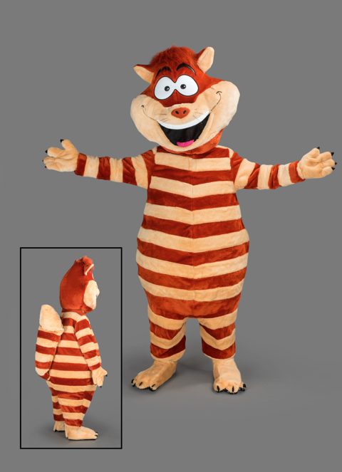 Meerkat / striped cat
