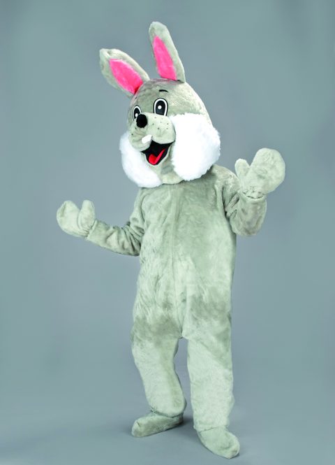 Rabbit
